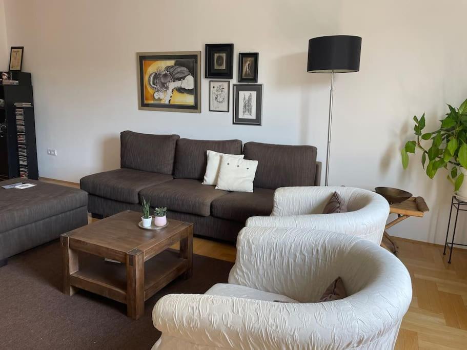 Spacious 3Br/2Bt Apartment With A/C In City Center Zagreb Eksteriør bilde