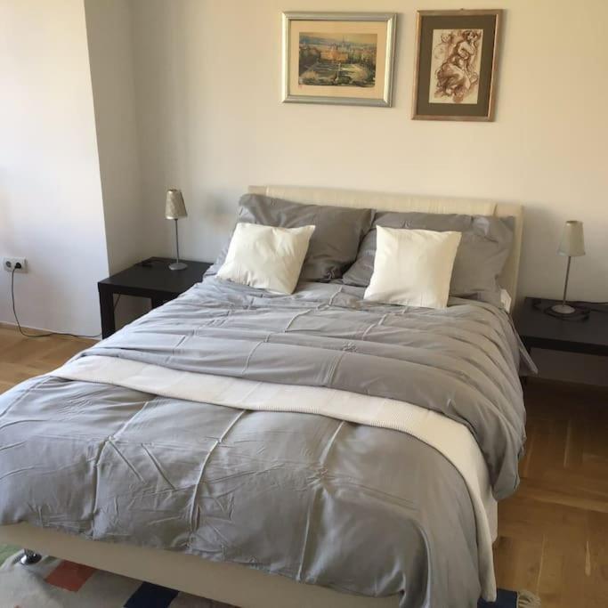 Spacious 3Br/2Bt Apartment With A/C In City Center Zagreb Eksteriør bilde
