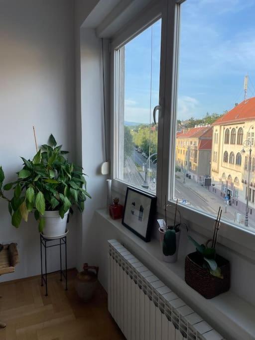 Spacious 3Br/2Bt Apartment With A/C In City Center Zagreb Eksteriør bilde
